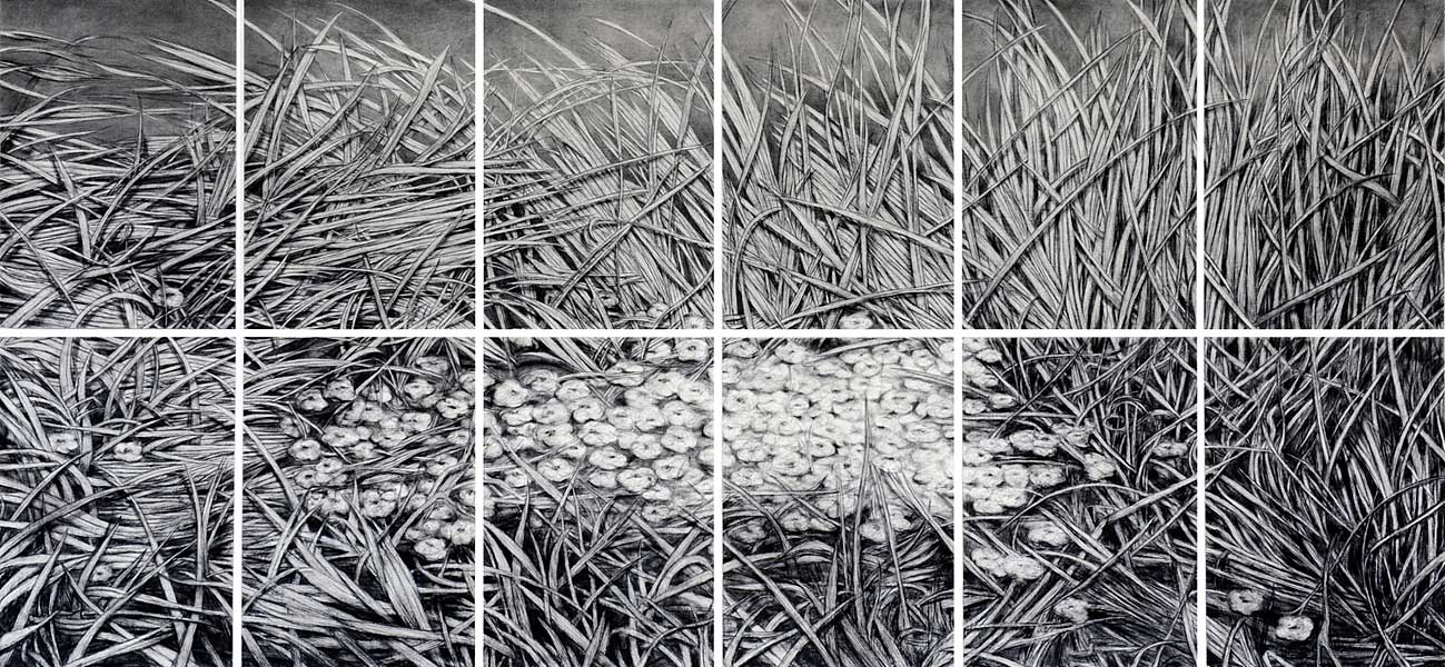 Aus der Serie MUSEUM DER SCHATTEN (GRAS DES VERGESSENS), 2008;  Kohle/Papier, 12-teilig, je 100x70 cm, gesamt: 200 x 420 cm