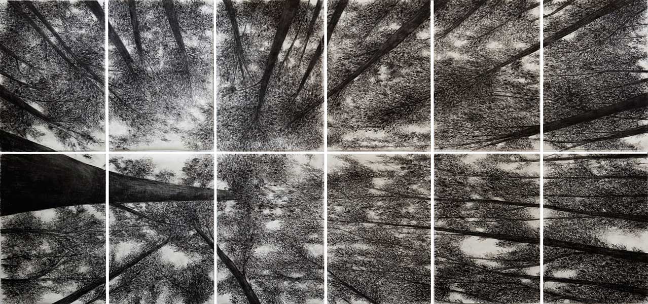 Aus der Serie MUSEUM DER SCHATTEN (GRAS DES VERGESSENS), 2008;  Kohle/Papier, 12-teilig, je 100x70 cm, gesamt: 200 x 420 cm